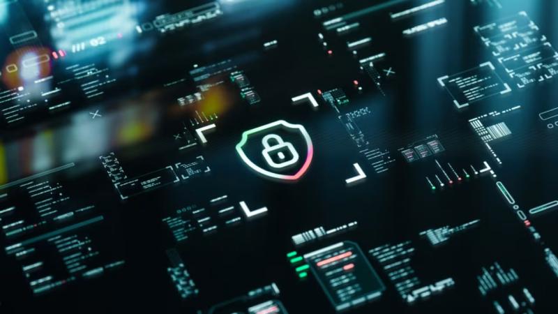 高陵县软件开发公司